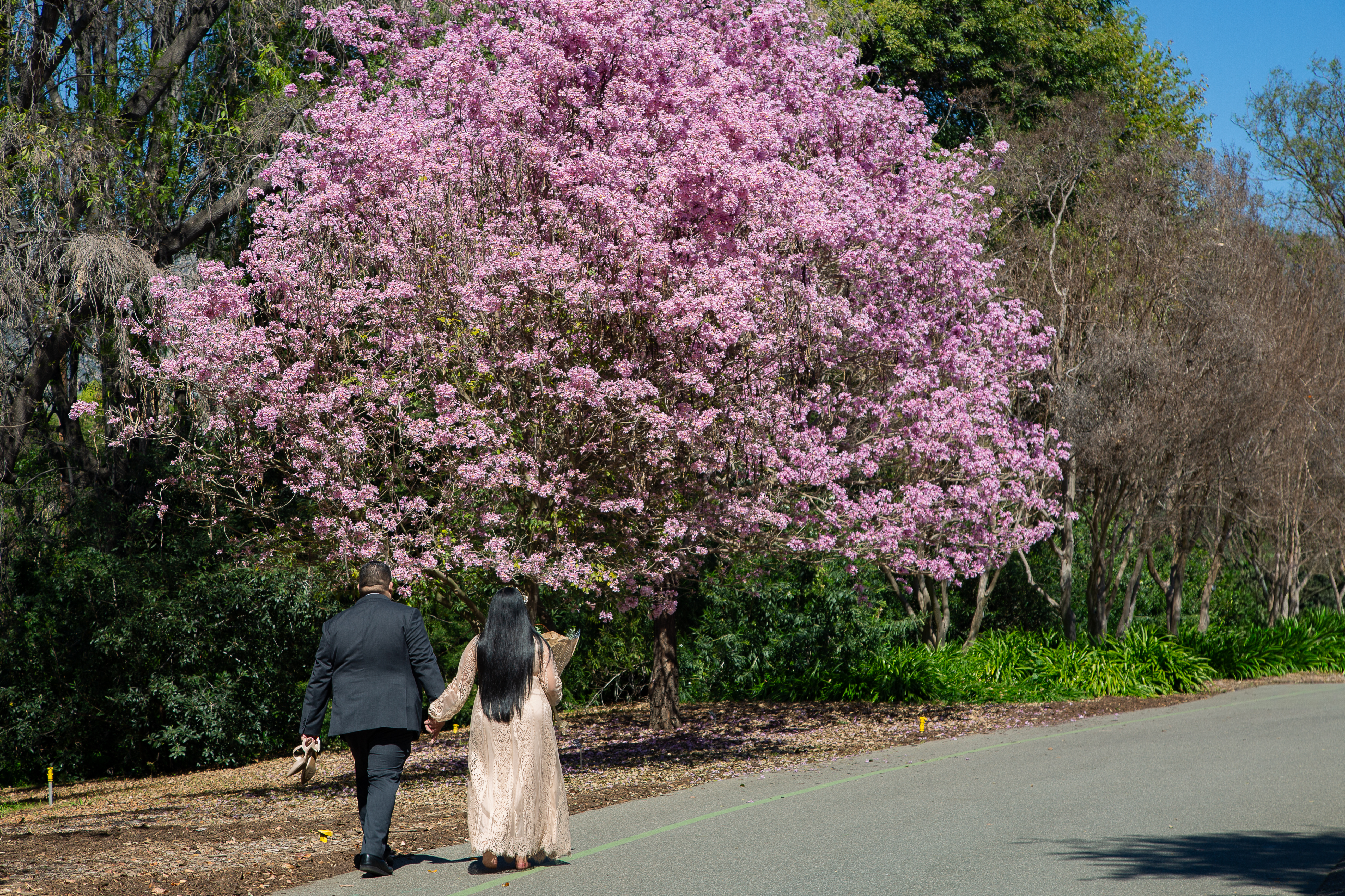 engagement_15.jpg